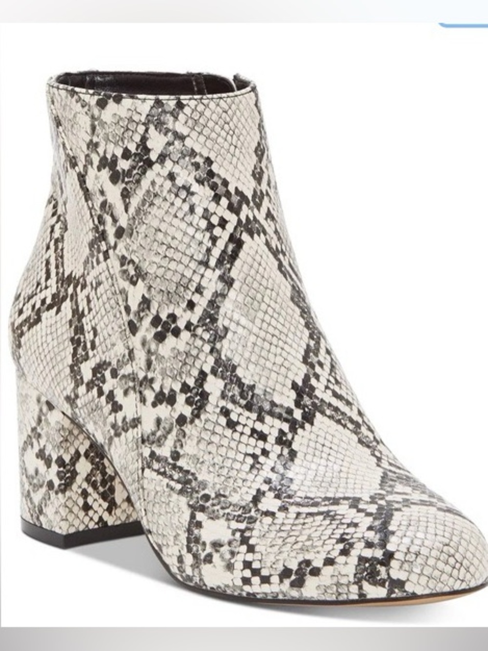 Madden Girl Snake-Print Booties in Black & White